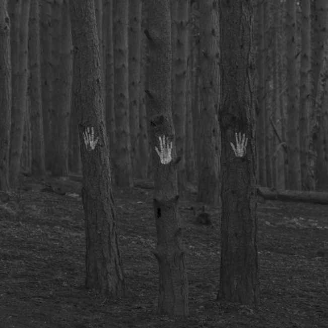 Three hands, three trees