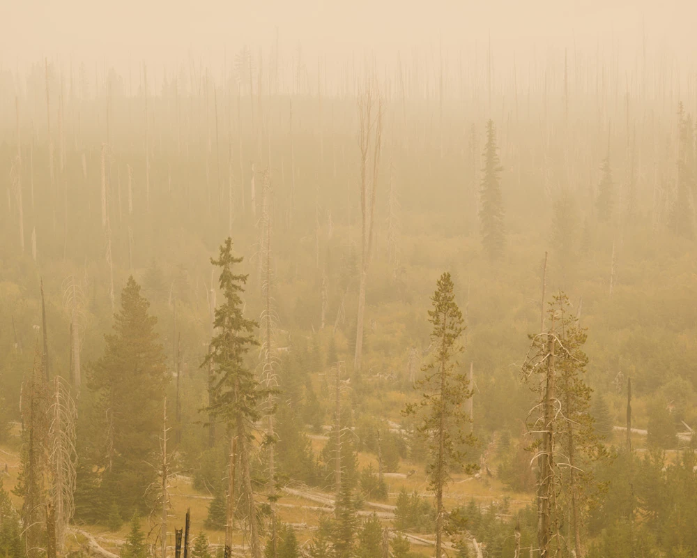 Oregon wildfire smoke photography