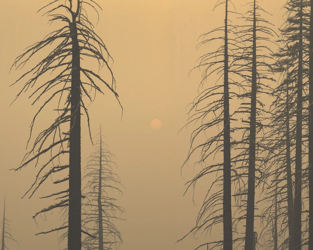 Oregon wildfire smoke photography