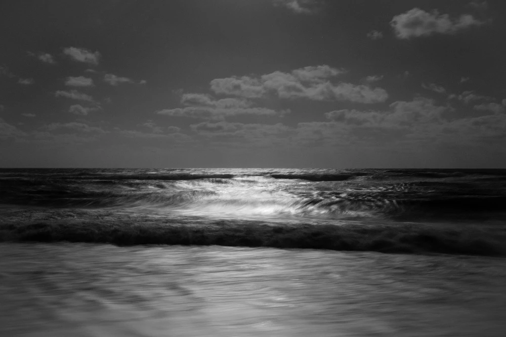 Borrowed Shore