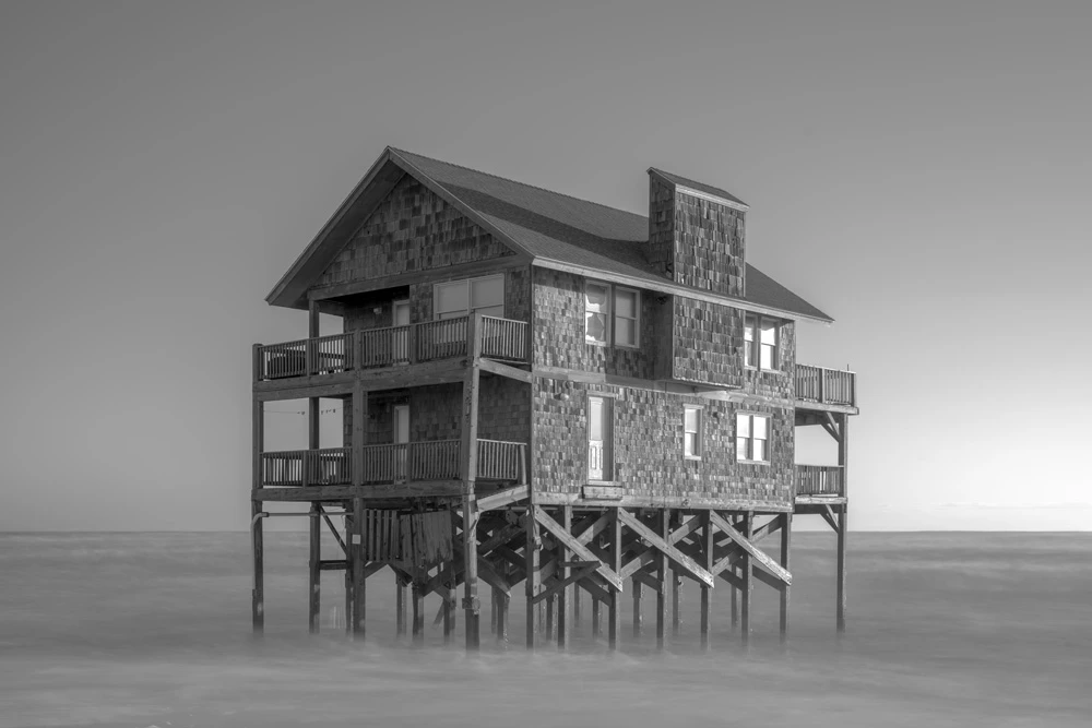 Borrowed Shore