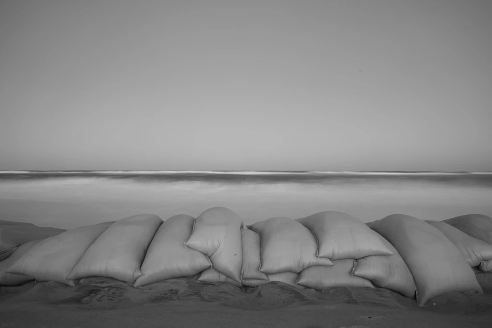 Borrowed Shore
