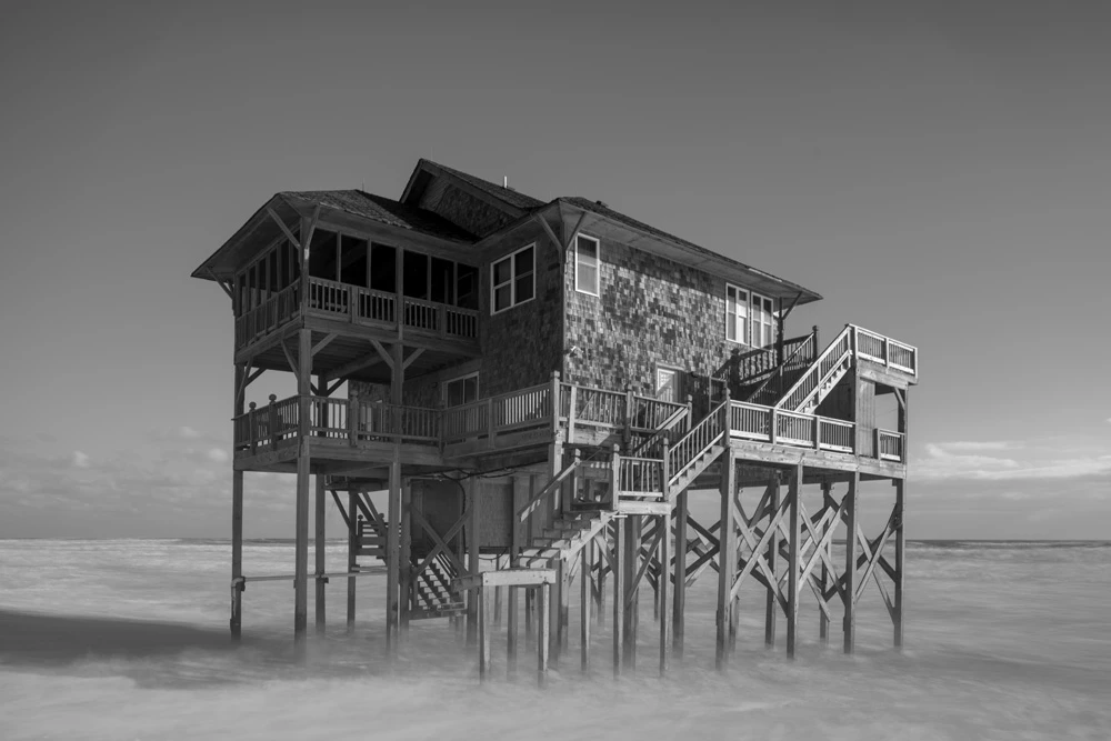 Borrowed Shore