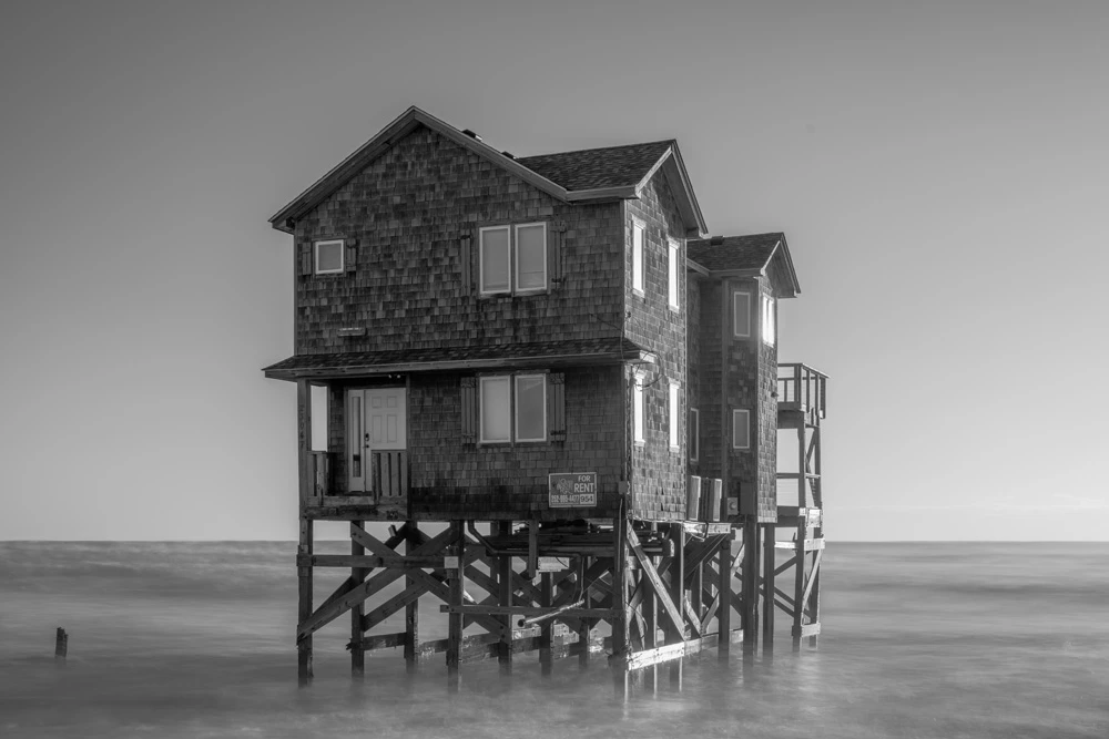 Borrowed Shore