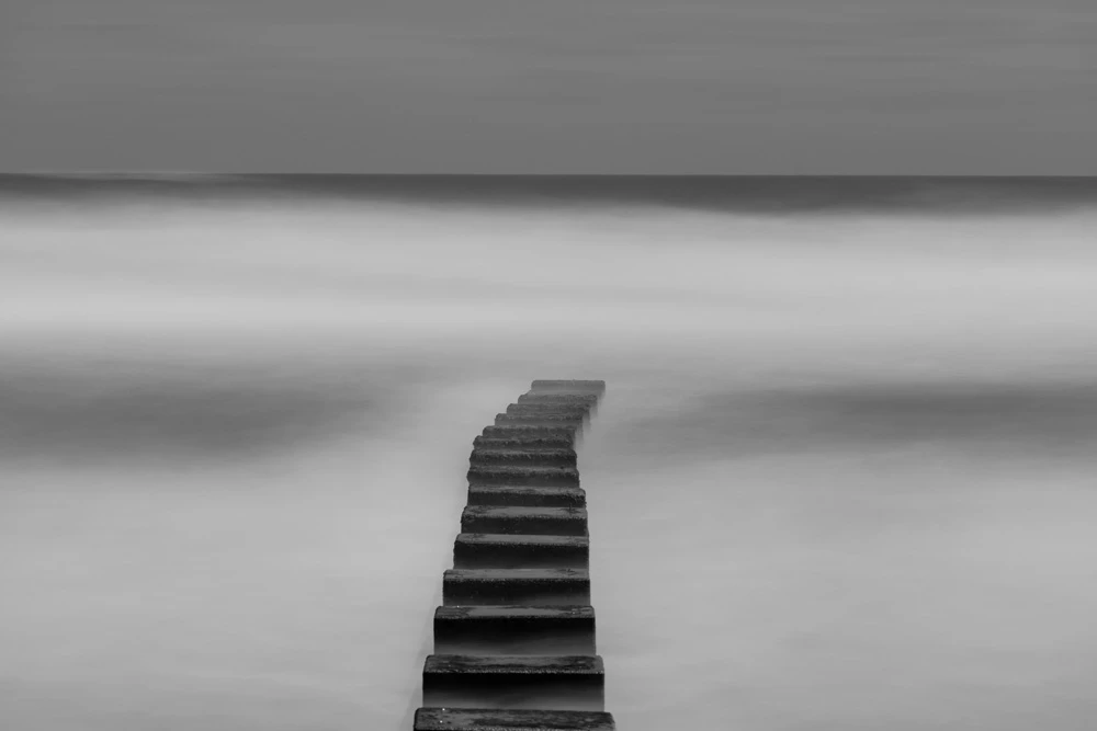 Borrowed Shore
