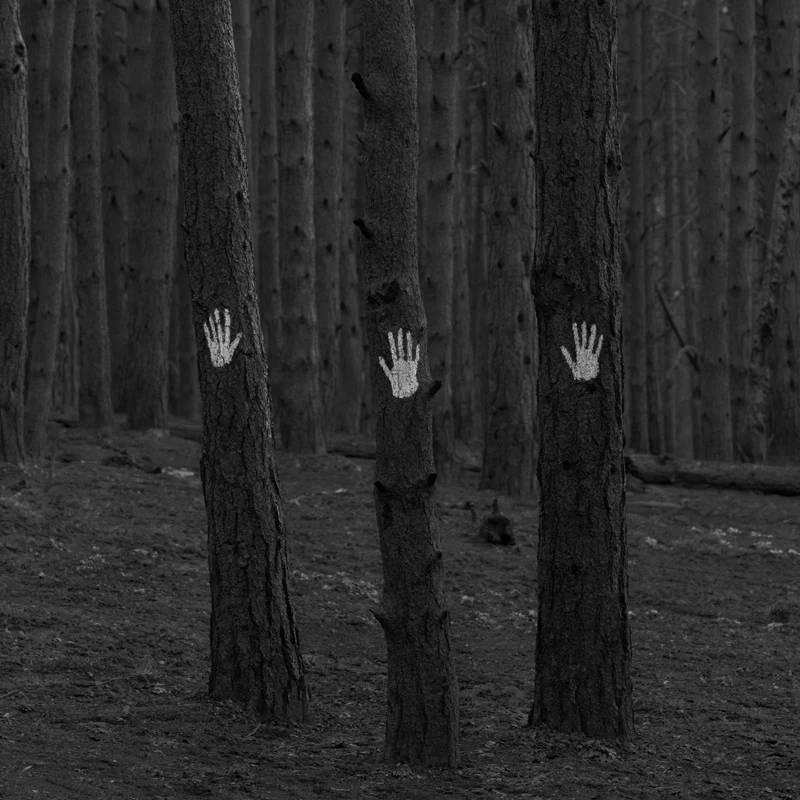 Three hands, three trees